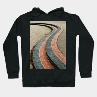 Brick Snake Hoodie